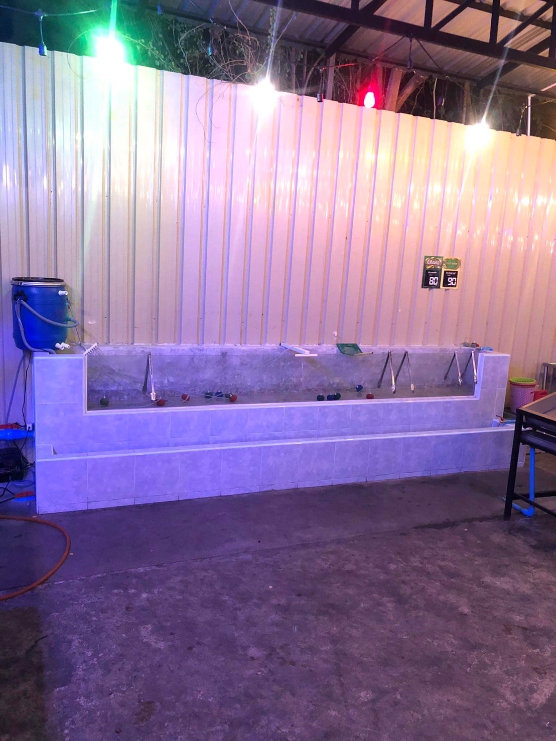 เซ้งด่วน‼️ ร้านโครตสดทะเลเผา #ตรงข้ามมัลดีฟเหม่งจ๋าย @เขตห้วยขวาง กทม