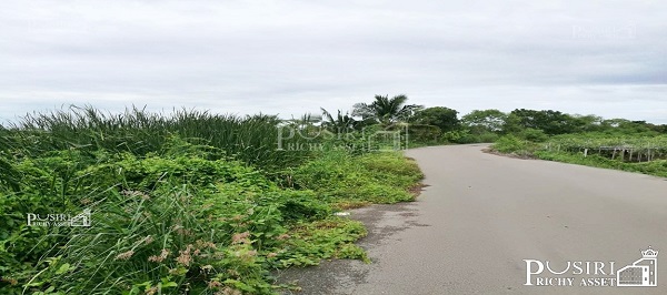 ที่ 31 ไร่ หน้ากว้างมาก 133 เมตร ราคาคุ้มสุด เชื่อมต่อหลายเส้นทาง ถนนสวนส้ม บางปลา พระราม 2