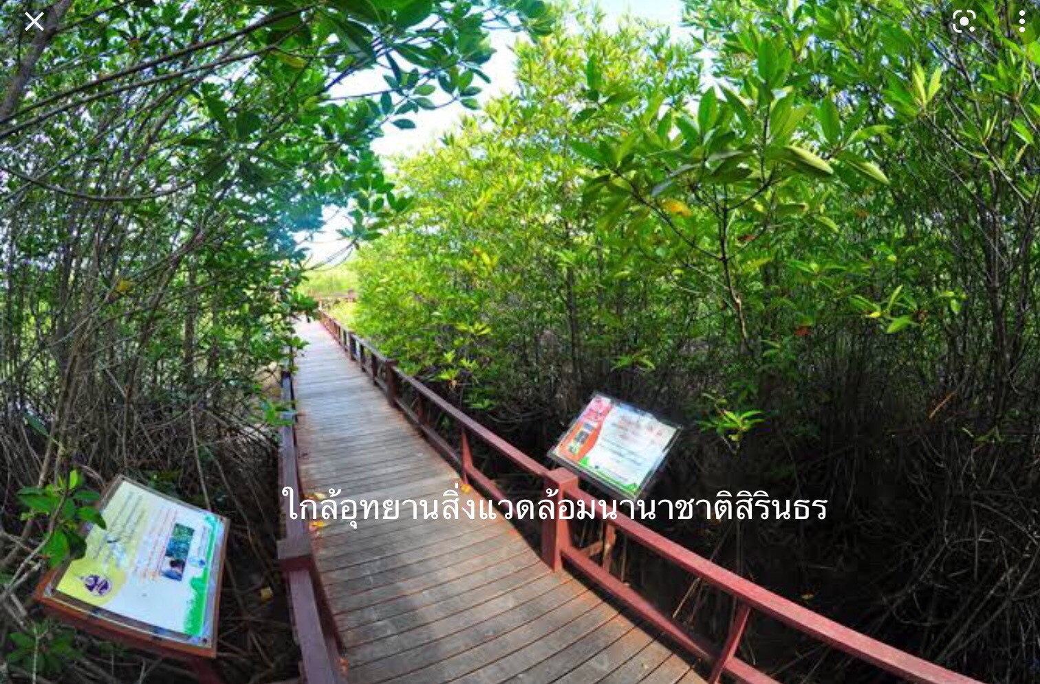 ขาย ที่ดิน ใกล้ทะเลชะอำ-หัวหิน ห่างทะเลเพียง 700 เมตร
