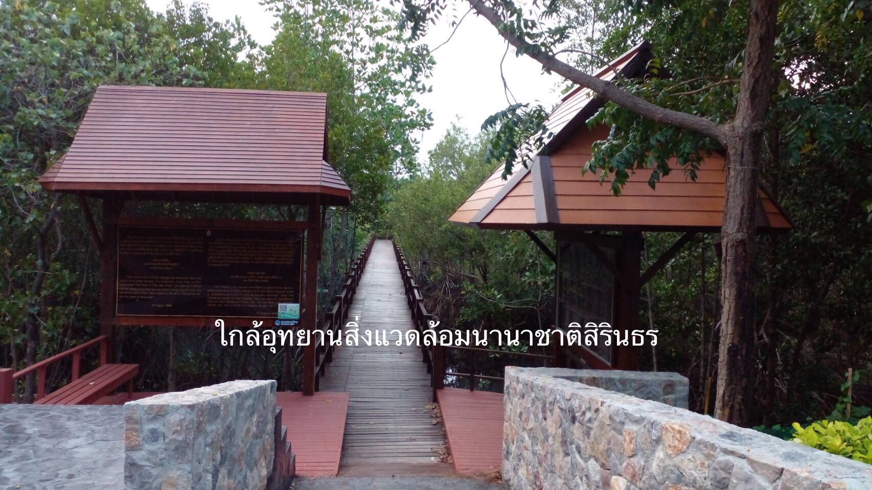 ขาย ที่ดิน ใกล้ทะเล 700 เมตร ซอยชะอำ 51 เพชรบุรี