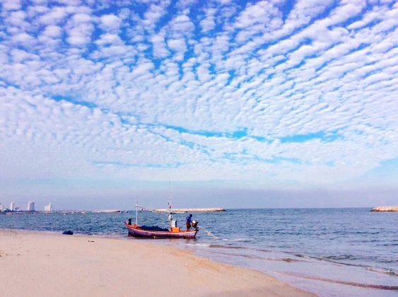 ขาย ที่ดิน ทำเลทอง ติดถนนเพชรเกษม (ชะอำ-หัวหิน) ใกล้ทะเล 800 เมตร