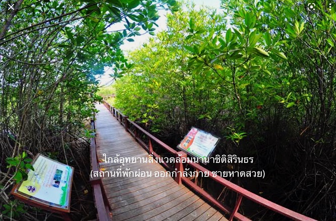 ขาย ที่ดิน ทำเลทอง ติดถนนเพชรเกษม (ชะอำ-หัวหิน) ใกล้ทะเล 800 เมตร