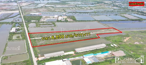 เลือกได้ทั้งทำเลและราคา บนที่ดินแปลงใหญ่ ขนาด 104 ไร่ ถมแน่นใช้งานได้ทันที เทรลเลอร์ลุยสบาย ติดถนนคอนกรีตกว้าง 12 ม. ใกล้พระราม 2 - KK2130S
