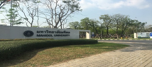 ขายที่สวยสร้างคอนโด ขนาด 980 วา ใกล้มหิดล สะดุดตา ไปมาง่าย ใกล้ปากซอยศูนย์กลางของนักศึกษา และความเจริญแบบ 100%  -ขายที่ดินศาลายา - KK3072S