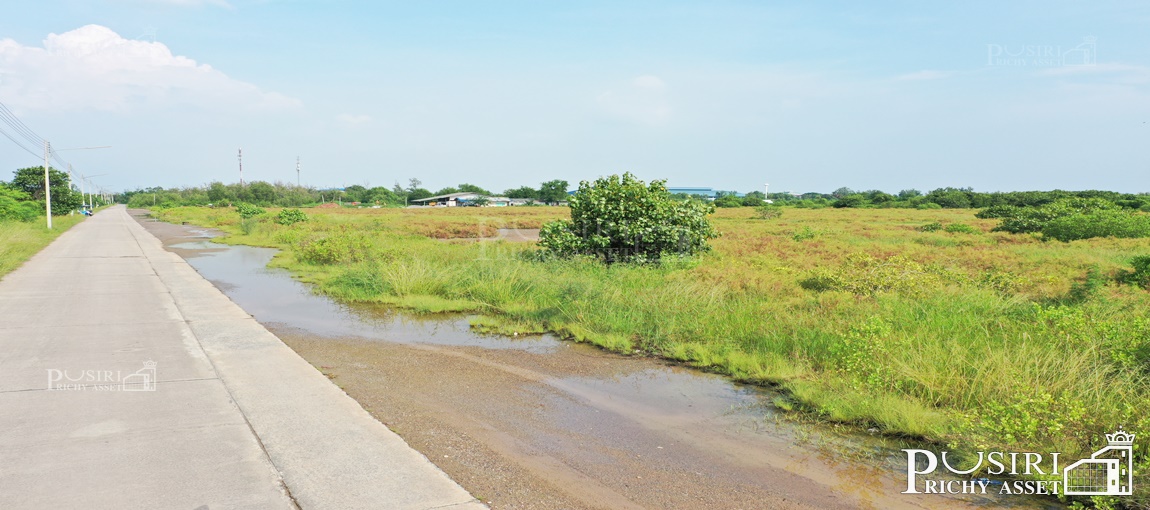 ที่สวยถมเดิม 30 ไร่ หน้ากว้าง 206 ม. เหมาะทำโรงงาน คลังสินค้าขนาดใหญ่ เดินทางง่ายใกล้พระราม 2 บางโทรัด