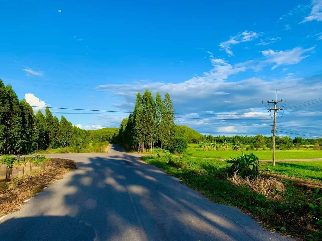 ขายที่ดิน ต.เขาขลุง อ.บ้านโป่ง จ.ราชบุรี พร้อมบ้าน 3 หลัง 18 ล้านบาท มีไร่ผลไม้เก็บผลได้เลย
