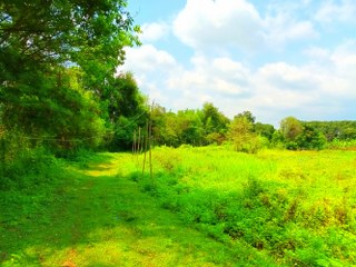 ขายที่ดินแปลงสวยราคาถูกที่สุดในโซนนี้ ใกล้ชุมชนใกล้ถนนใหญ่ เข้าง่ายออกสะดวก   เหมาะสำหรับทำรีสอร์ท