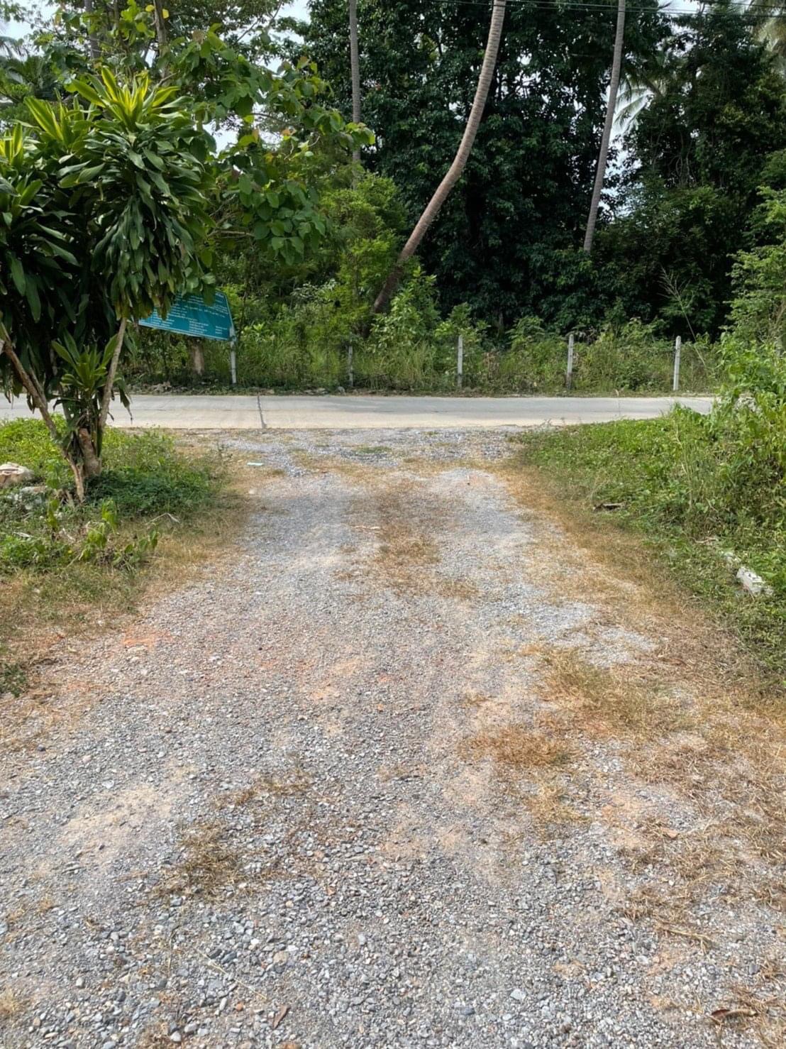 ขายที่ดิน ที่ดินทำเลสวยมาก ติดถนนคอนกรีต ประจวบคีรีขันธ์