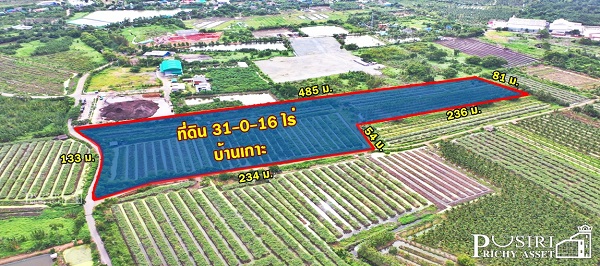 ที่ 31 ไร่ หน้ากว้าง 133 เมตร ราคาสุดคุ้มในตลาดเชื่อมต่อหลายเส้นทาง ถนนสวนส้ม บางปลา และพระราม 2