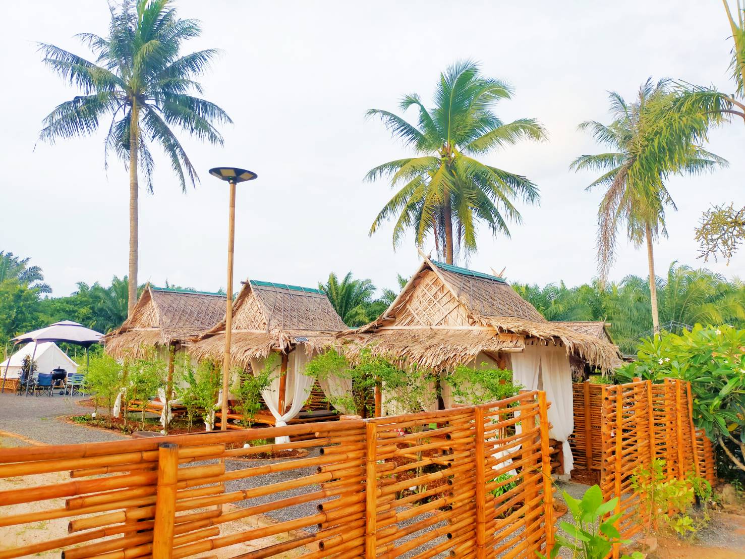 ธุรกิจแบ่งให้เช่า เนื้อที่ 1 ไร่ ครึ่งพร้อมใบอนุญาต พิกัดหาดใหญ่