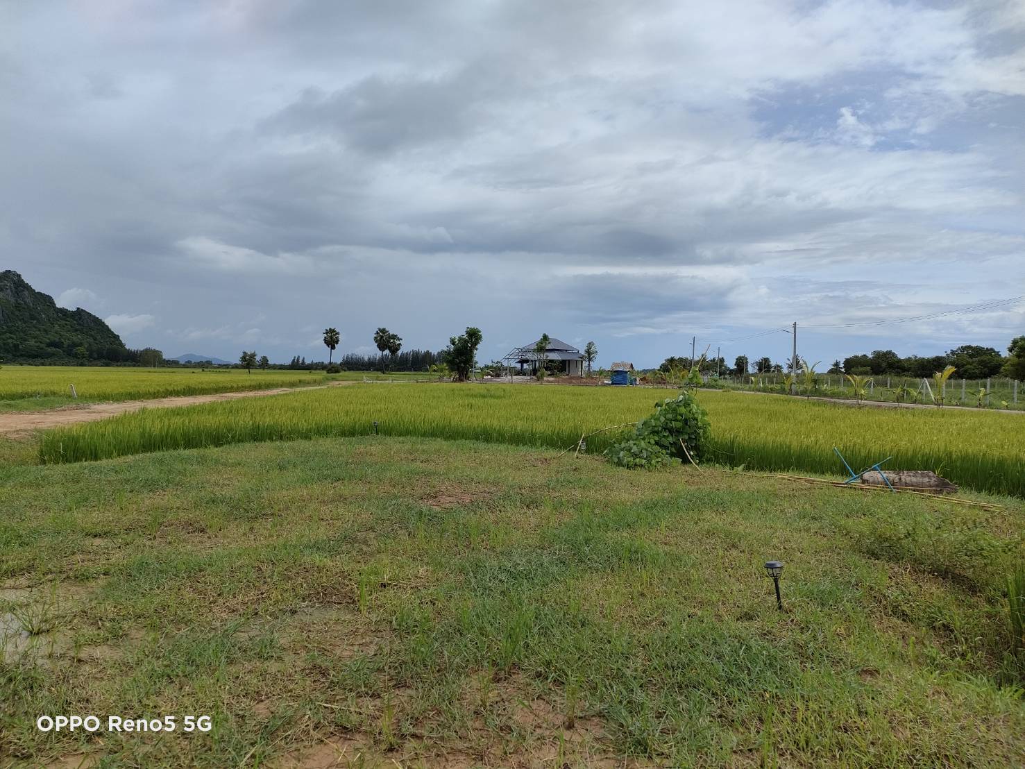 ขายที่ดิน 7 ไร่ พร้อมบ้านกำลังก่อสร้าง อำเภอท่ายาง เพชรบุรี 