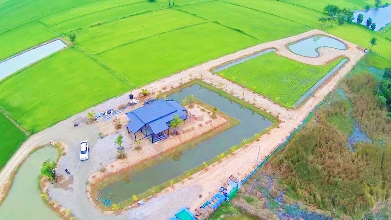 ขายที่ดิน 7 ไร่ พร้อมบ้านกำลังก่อสร้าง อำเภอท่ายาง เพชรบุรี 