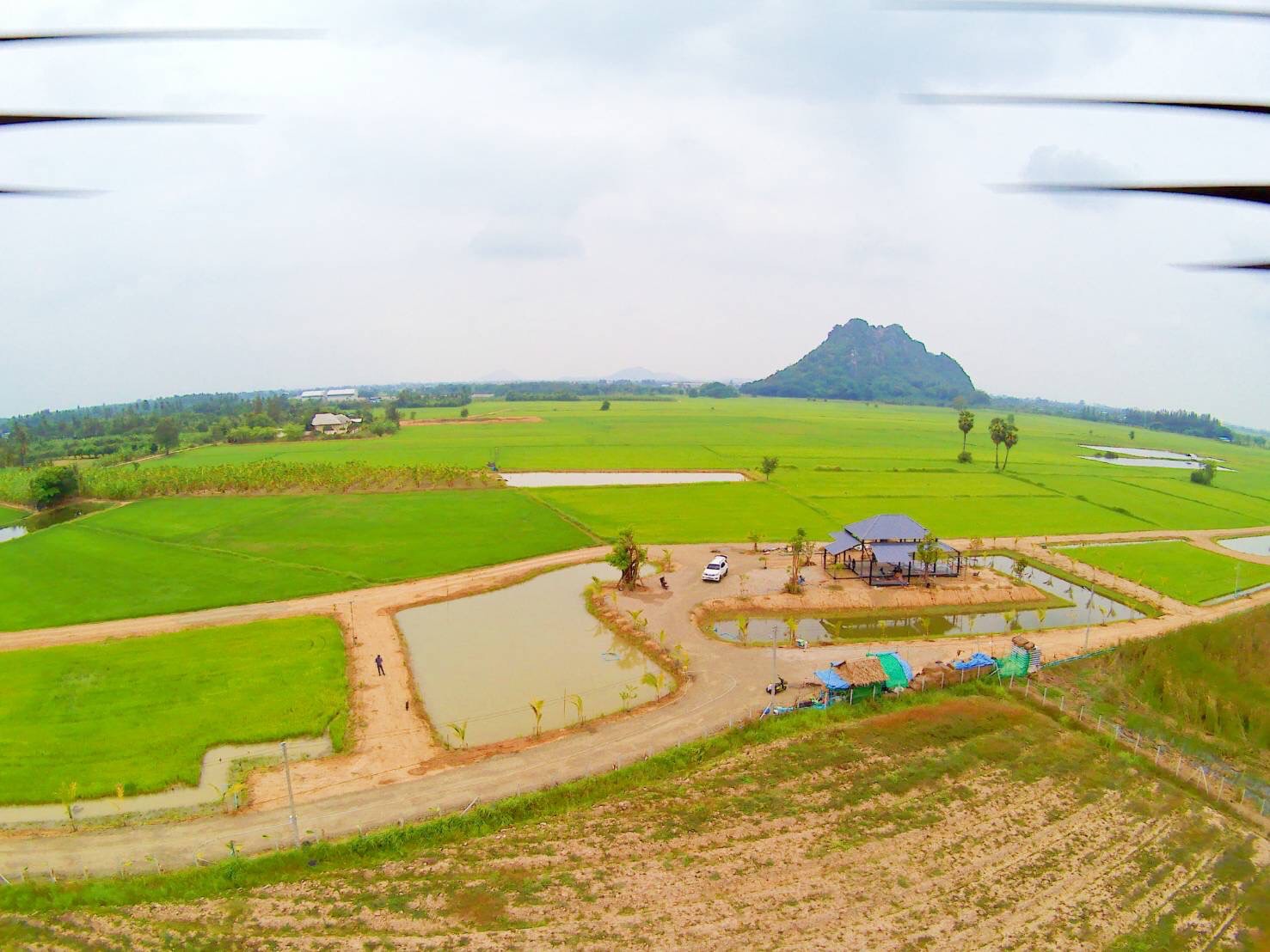 ขายที่ดิน 7 ไร่ พร้อมบ้านกำลังก่อสร้าง อำเภอท่ายาง เพชรบุรี 