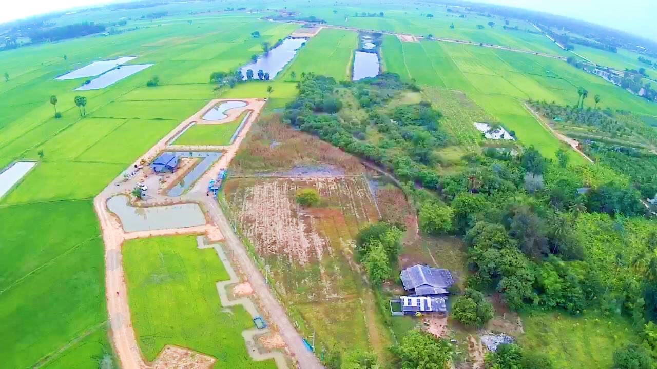 ขายที่ดิน 7 ไร่ พร้อมบ้านกำลังก่อสร้าง อำเภอท่ายาง เพชรบุรี 