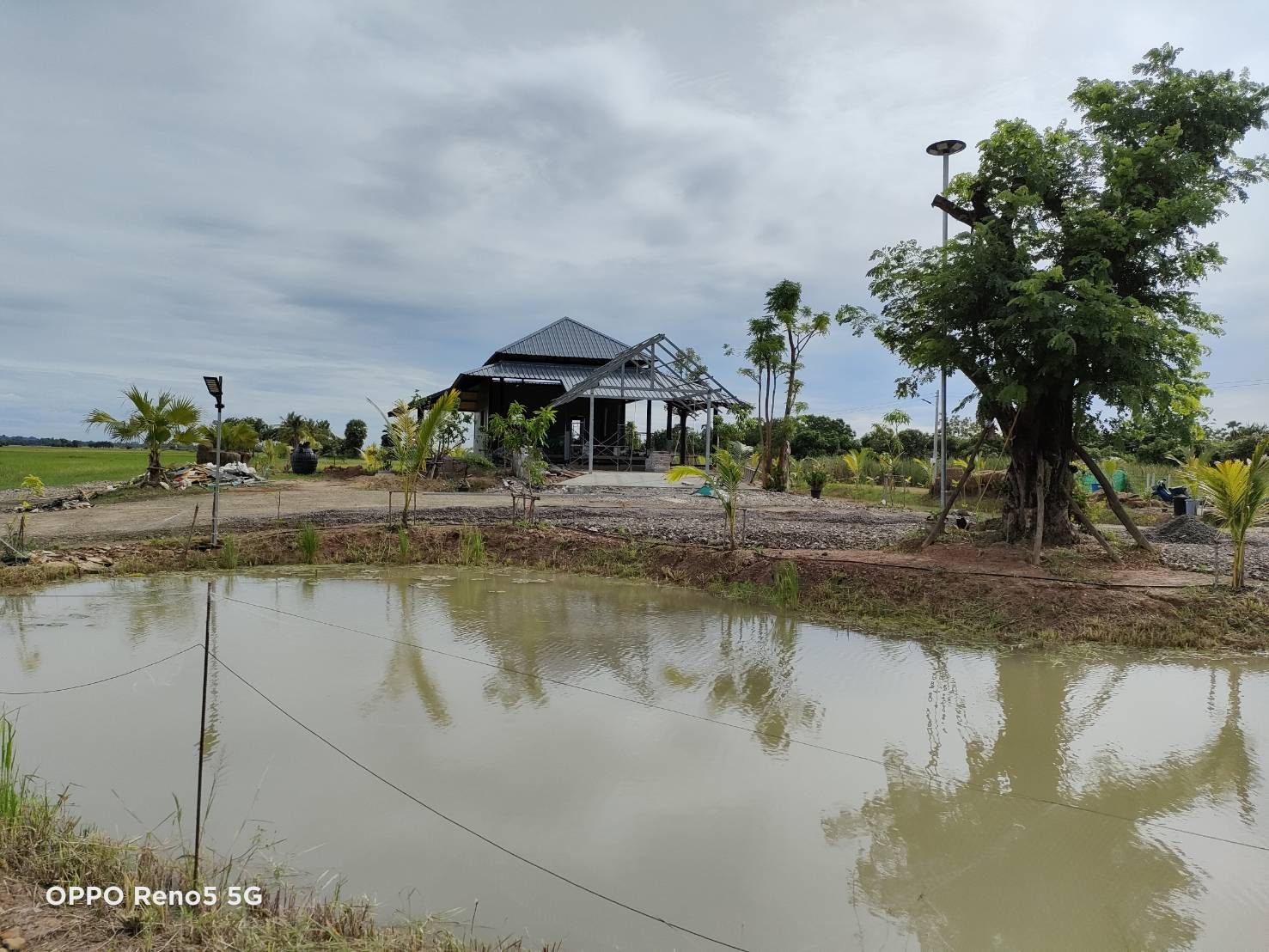 ขายที่ดิน 7 ไร่ พร้อมบ้านกำลังก่อสร้าง อำเภอท่ายาง เพชรบุรี 