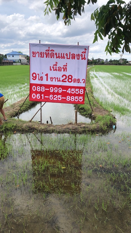 ขายที่ดิน 9 ไร่  1  งาน  28 ตารางวา ติดถนนคลองโยง