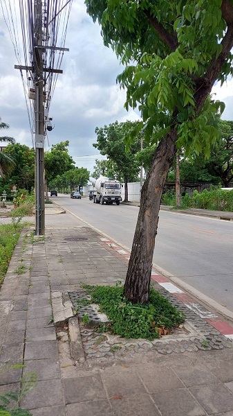 ขายที่ดินติดถนนสวนผัก เนื้อที่2-1-4ไร่ (904 ตรว) แปลงมุมสวยงามดินติดถนน2ด้าน ที่ดินทำเลทอง ใกล้ตลาดสดธนบุรีใหม่   หน้ากว้างติดถนนสวนผัก50เมตร  ลึก(หน้ากว้าง ถนนซอย )78เมตร