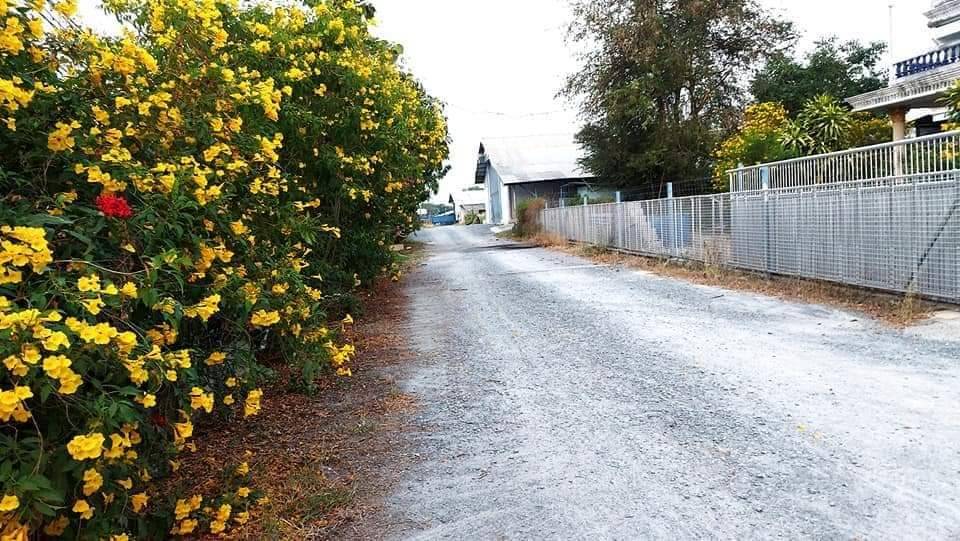 ให้เช่าโกดัง-โรงงาน พร้อมออฟฟิศ 640 ตรม. ถนนบ้านแพ้ว นครปฐม ติด ถนนใหญ่ 4 เลน มีกล้องวงจรปิด