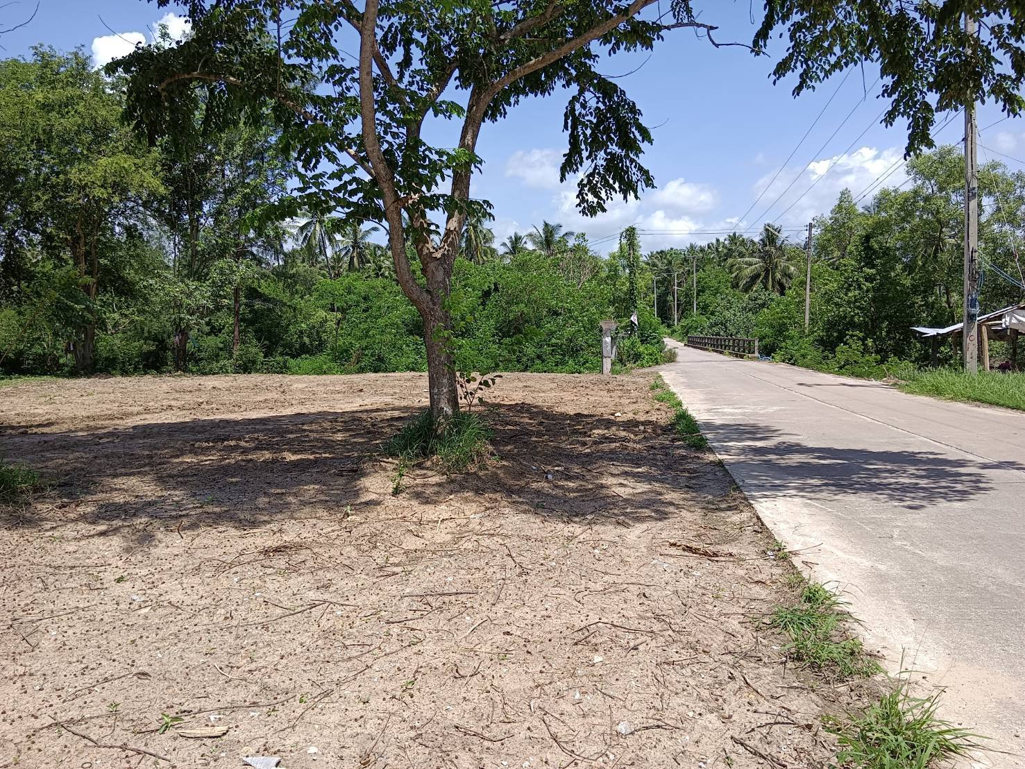 ขายด่วน ที่ดิน ติดทะเล เดินลงหาดได้เลย ตำบลธงชัย ประจวบคีรีขันธ์ 