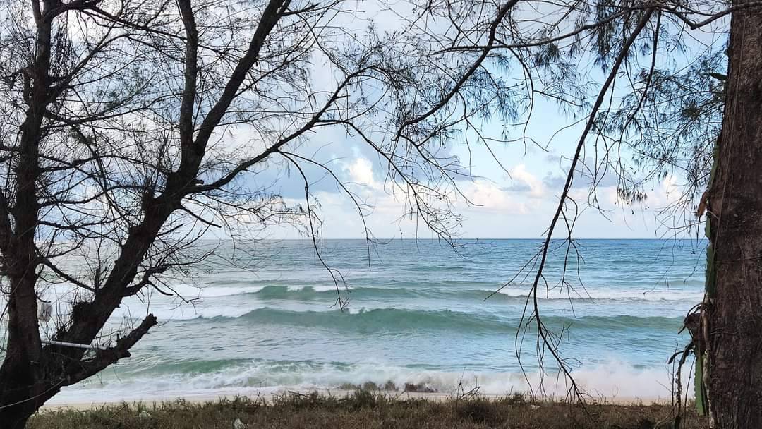 ขายด่วน ที่ดิน ติดทะเล เดินลงหาดได้เลย ตำบลธงชัย ประจวบคีรีขันธ์ 