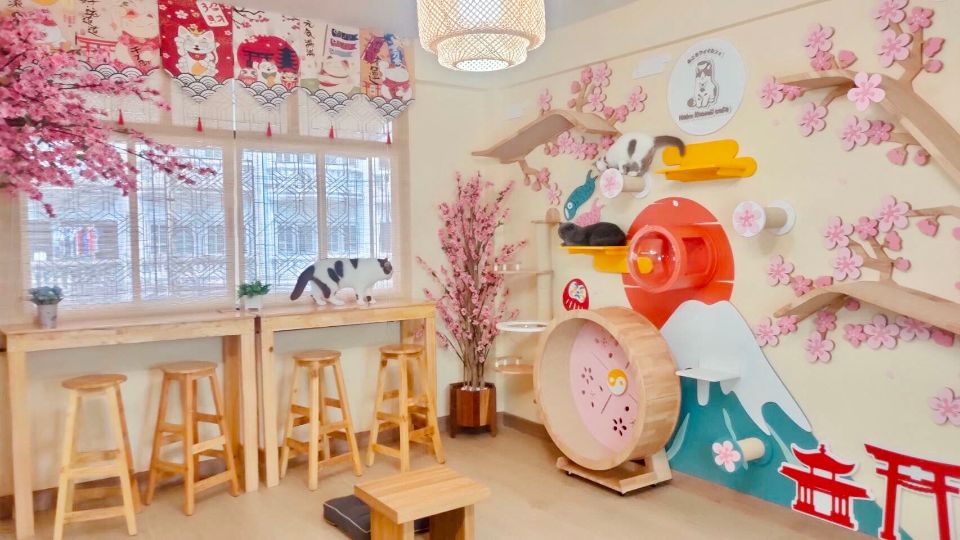 เซ้งร้านอาหาร ชั้น1 คาเฟชั้น2 ชั้น3 #ทำร้านนวดได้ @ถนนประชาราษฏ์บำเพ็ญ 24 (สามเสนนอก)