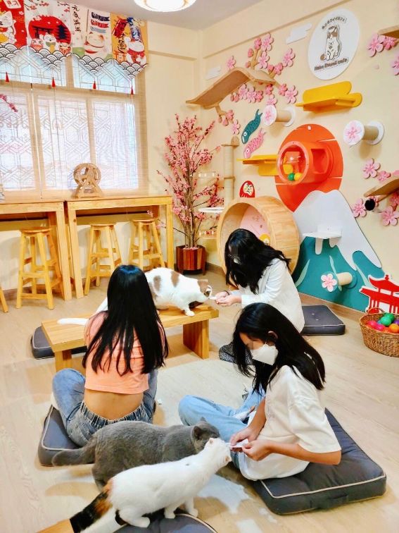 เซ้งร้านอาหาร ชั้น1 คาเฟชั้น2 ชั้น3 #ทำร้านนวดได้ @ถนนประชาราษฏ์บำเพ็ญ 24 (สามเสนนอก)