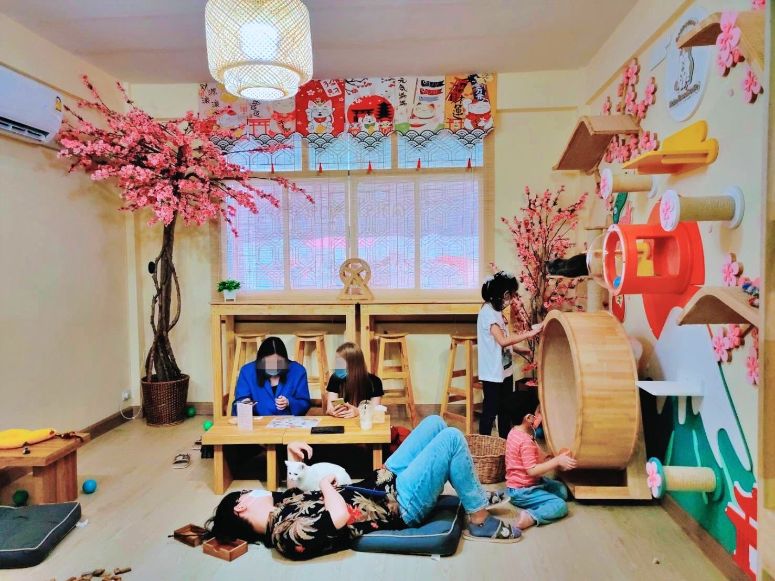 เซ้งร้านอาหาร ชั้น1 คาเฟชั้น2 ชั้น3 #ทำร้านนวดได้ @ถนนประชาราษฏ์บำเพ็ญ 24 (สามเสนนอก)