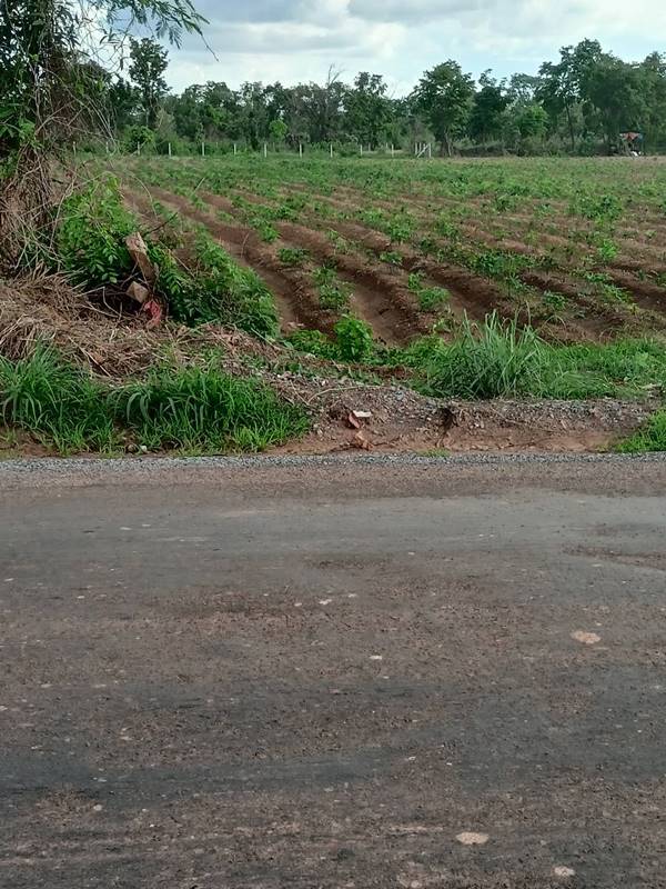 ขายที่ดิน 19-0-70 THB7,500,000 ต.หนองนาคำ, อ.เมือง, จ.อุดรธานี