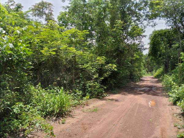 ขายที่ดิน 6-3-88 THB1,600,000 ต.บ้านขาว, อ.เมือง, จ.อุดรธานี