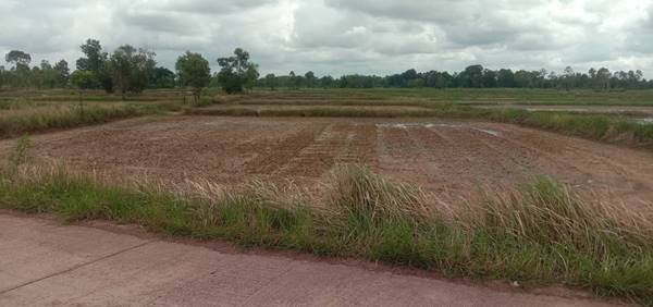 ขายที่ดิน 4-0-0 THB2,000,000 ต.บ้านตาด, อ.เมือง, จ.อุดรธานี