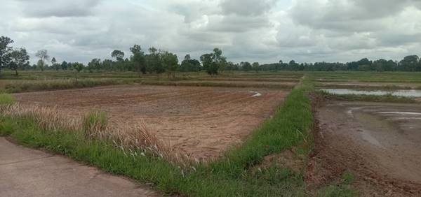 ขายที่ดิน 4-0-0 THB2,000,000 ต.บ้านตาด, อ.เมือง, จ.อุดรธานี