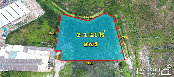 ที่สีม่วง 2 ไร่เศษ ถูกเกือบเท่าราคาประเมิน ไฟฟ้า ประปาพร้อม แถมเดินทางสะดวกใกล้สาย 5