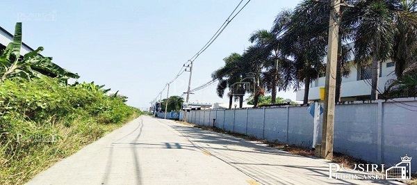 ที่สีม่วง 2 ไร่เศษ ถูกเกือบเท่าราคาประเมิน ไฟฟ้า ประปาพร้อม แถมเดินทางสะดวกใกล้สาย 5