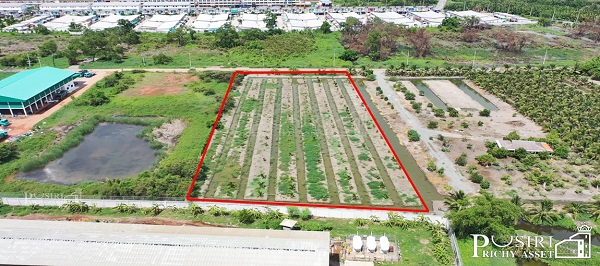 ที่สวย 5 ไร่ สร้างโรงงานใหญ่ได้ถึง 5,000 ตร.ม.ลงตัว พร้อมระบายน้ำลงคลองด้านหลังได้ทันที ใกล้ ถ.พระราม 2 และอีก 2 ถนนหลัก