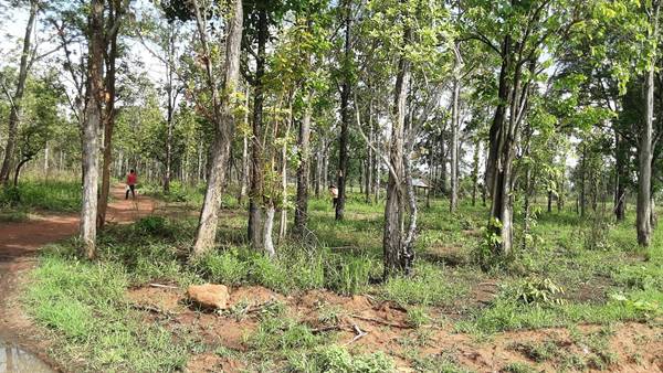 ขายที่ดิน 22-1-75.4 THB7,875,000 ต.บ้านพร้าว, อ.เมือง, จ.หนองบัวลำภู