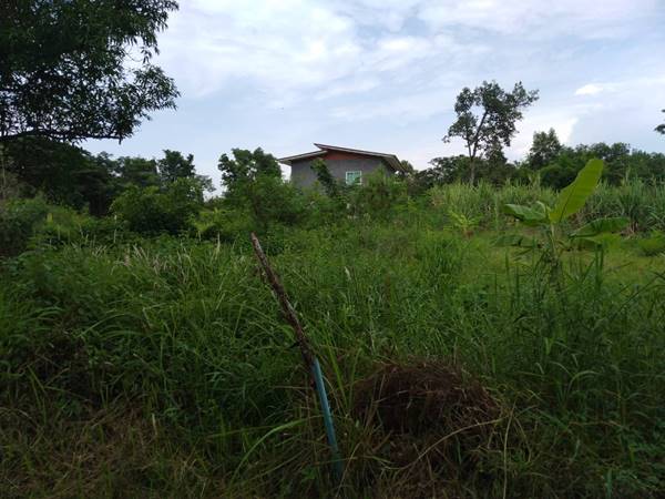ขายที่ดิน 0-2-0 THB700,000 ต.หนองนาคำ, อ.เมือง, จ.อุดรธานี