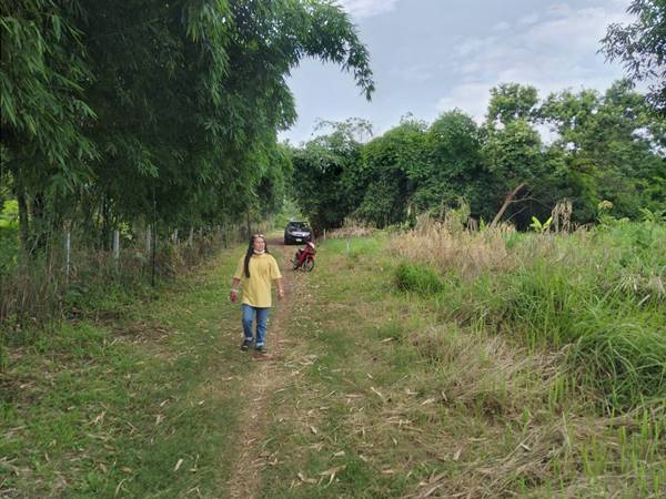 ขายที่ดิน 0-2-0 THB700,000 ต.หนองนาคำ, อ.เมือง, จ.อุดรธานี