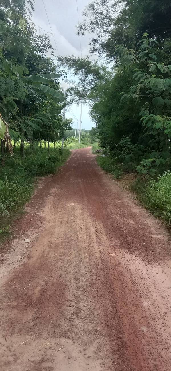 ขายที่ดิน 71-2-79 THB8,610,000 ต.สร้างก่อ, อ.กุดจับ, จ.อุดรธานี