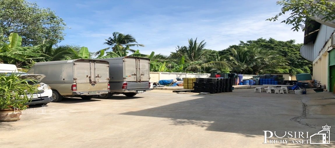 ขายกิจการ โรงงานเครื่องปรุงบรรจุซอง บนเนื้อที่ 328 ตร.ว. สร้างรายได้ ทันที พร้อมทุกอย่าง เครื่องจักรและฐานลูกค้า เลียบคลองแคราย เอกชัย - KK3615S