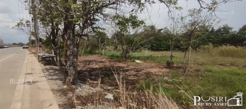 ทั้งสวยและคุ้มค่า ขายที่หน้า กว้างๆ 286 เมตร เพียง 450 เมตร จากบางนา กม.24 ถมแล้ว พื้นที่สีส้ม ใกล้ วงแหวนรอบ 3 ในราคาพิเศษ - KK3979s