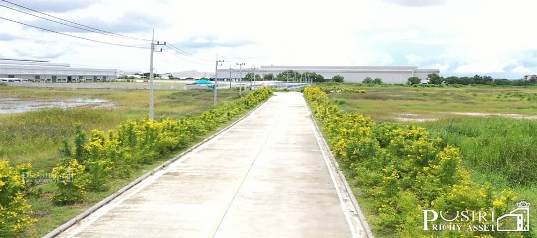 ขายที่สีม่วง สร้างโรงงานได้ทุกประเภท มี 2 เเปลง 7 เเละ 15 ไร่ โซนชลบุรี(พานทอง) รถเทรลเลอร์ เข้าออกสะดวก ใกล้ทางด่วนกรุงเทพ – ชลบุรีสายใหม่ kk5121s