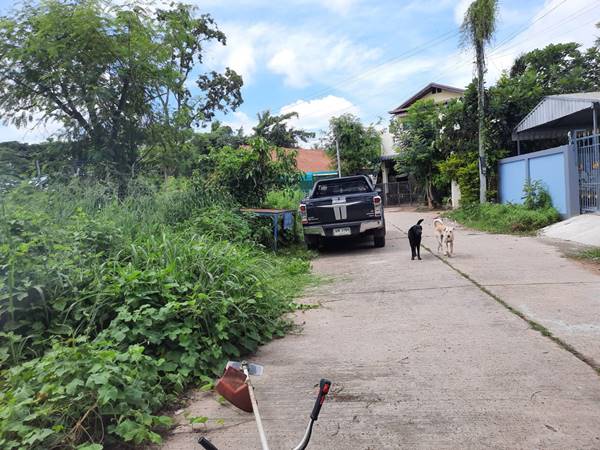 ขายที่ดิน 0-1-65 THB1,700,000 ต.หนองขอนกว้าง, อ.เมือง, จ.อุดรธานี