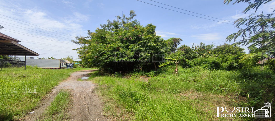 สร้างโรงงานได้กว่า 6,500 ตร.ม.บนที่ดิน 8 ไร่เศษ ติดคลอง เดินทางสะดวก เพียง 1.3 กม. ถ. เอกชัย และ 2.3 กม. ถ.พระราม 2 - kk5087s