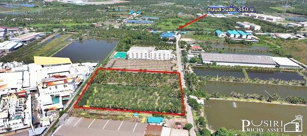 ที่สวยบนทำเลอุตสาหกรรม 4 ไร่ สร้างโรงงานได้ทุกประเภท ใกล้นิคมสมุทรสาคร เดินทางสะดวกจากพระราม 2   KK2598S