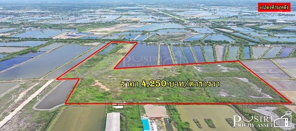 เลือกได้ทั้งทำเลและราคา ที่แปลงใหญ่ 104 ไร่ ถมแน่นใช้งานได้ทันที เทรลเลอร์ลุยสบาย ติดถนนคอนกรีตกว้าง 12 ม. ใกล้พระราม 2 KK2130S