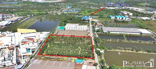 ที่สวยบนทำเลอุตสาหกรรม 4ไร่ สร้างโรงงานได้ ทุกประเภท ใกล้นิคม สมุทรสาคร เดินทางสะดวกจากพระราม 2 เพียง 2 กิโลเมตร - KK2598S