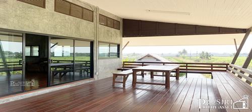 ขายบ้านสวนพื้นที่ 10 ไร่ ใกล้มอเตอร์เวย์บางใหญ่ บ้านใหม่ย้ายเข้าอยู่ได้ทันดี ลมเย็นตลอดวัน เงียบสงบ ซื้อทำกำไรได้ - KK4916S