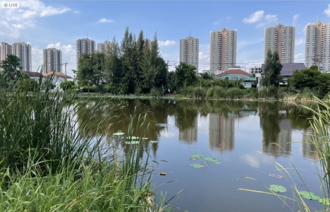 Land For Sale‼️ ขายที่ดินริมน้ำ 88 ตรว.ริมบึงเมืองทองธานี ติวานนท์ ปากเกร็ด   