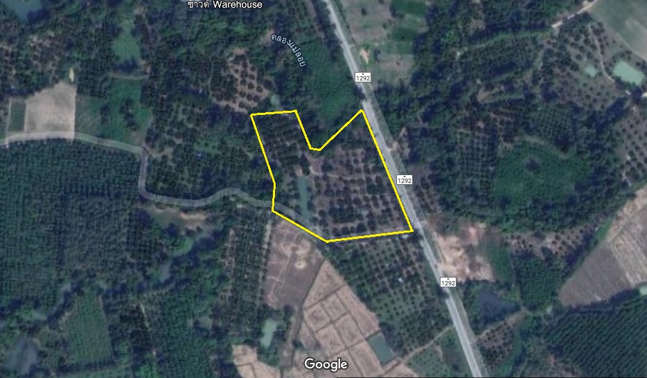 ขายที่สวนผสม ติดถนนเส้นทาง อ.เทิง จ.เชียงราย – อ.เชียงคำ,อ.จุน จ.พะเยา