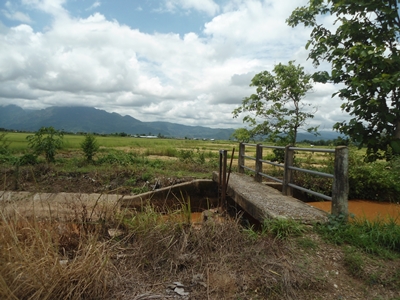 ขายที่ดินทำเลทอง ติดเส้นทาง อ.แม่สาย – สามเหลี่ยมทองคำ อ.เชียงแสน จ.เชียงราย